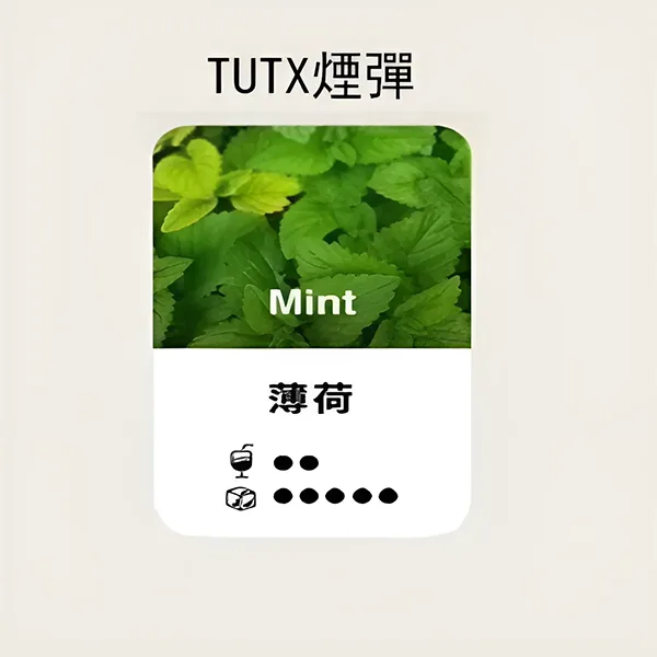 【薄荷】TUTX煙彈 TUT通用透明煙彈 一盒三顆 適配SP2/LANA/ILIA一代主機 台灣現貨