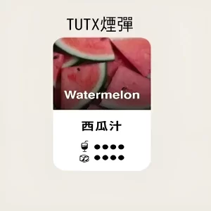 【西瓜口味】TUTX煙彈 TUT通用透明煙彈 一盒三顆 適配SP2/LANA/ILIA一代主機 台灣現貨