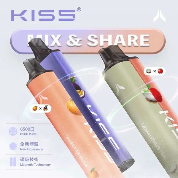 鎧斯KIS5 6500口磁吸式 一次性電子菸 12種口味自由混搭 可充電設計