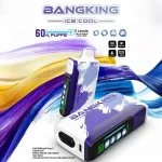 【12種口味】Bang King 60000口一次性電子煙|5檔調節涼度 極致冰爽超長續航體驗 王嘉爾同款 台灣現貨