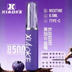 【藍莓黑加侖】XIAOKE梟客拋棄式電子煙8500口-口紅款